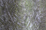 Glanwydden fibreglass roof work